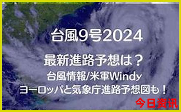 最新动态全新升级澳门正版管家婆揭秘100%深度精准免费-王中王493333特马王中王